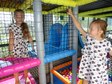 Happy Bus w Wieluniu. Figlobus zaparkował na Podwalu